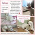 Tróia 