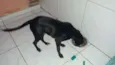 Zé