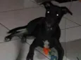 Zé