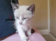 Netuno