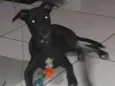 Zé