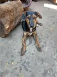 Sem nome ainda