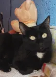 Preta