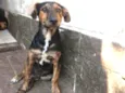 Sem nome ainda