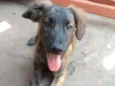 Sem nome ainda