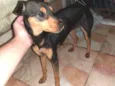 Não sei o nome