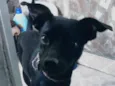 Belo
