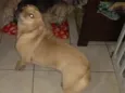 Fiona