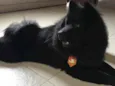 SPIKE