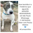 Frederico