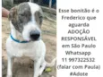 Frederico