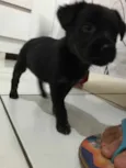 Eles não tem nomes