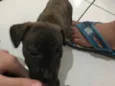 Eles não tem nomes