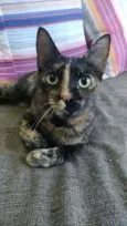 Alanis