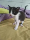 Jerry