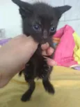 Jack