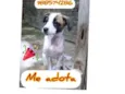 Princesa
