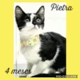 Pietra