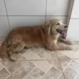 Não sei gente