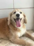 Não sei gente