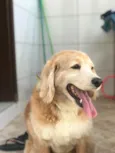 Não sei gente