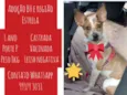 Estrela