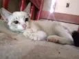 Linda