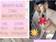 Estrela