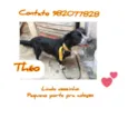 Théo 
