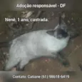 Preta