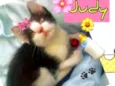 Judy