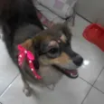 Belinha