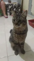 Nino