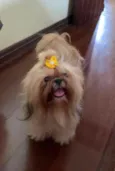 Linda