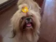 Linda