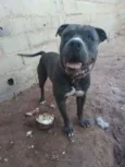 Marley