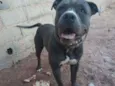 Marley