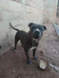 Marley