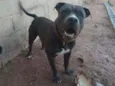 Marley
