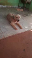 Luck