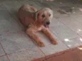 Luck