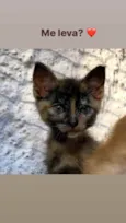 Mia