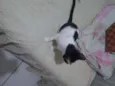 Brenda 