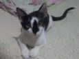 Brenda 