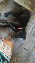 Kiara