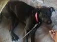 Kiara