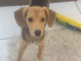 Bella