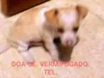 Bilie Jean