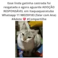 Castrada