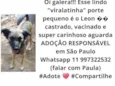 Leon